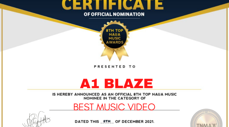 8th Top Naija Music Awards Finalists & Official Nominees Certificate